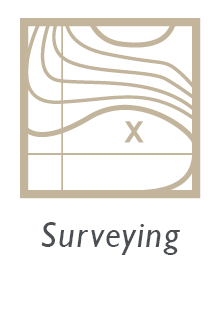Surveying