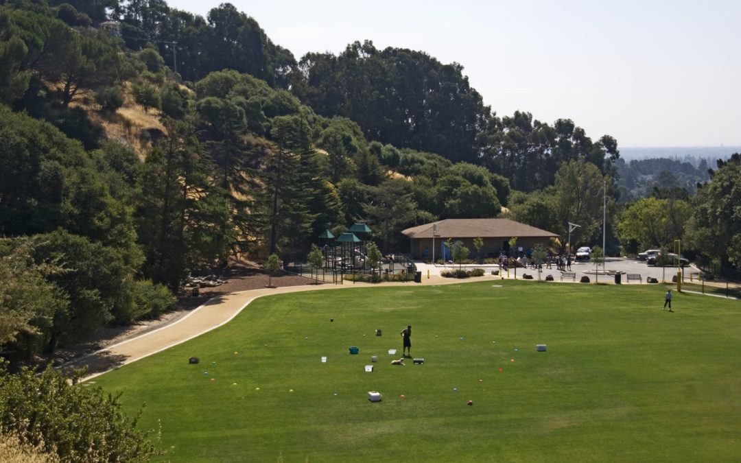 Arguello Park Renovation Master Plan