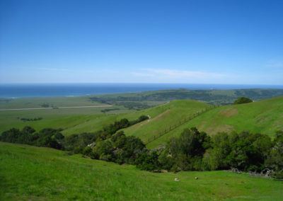 Hearst Ranch