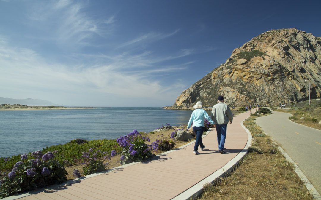 Morro Bay Harborwalk & Waterfront Trails