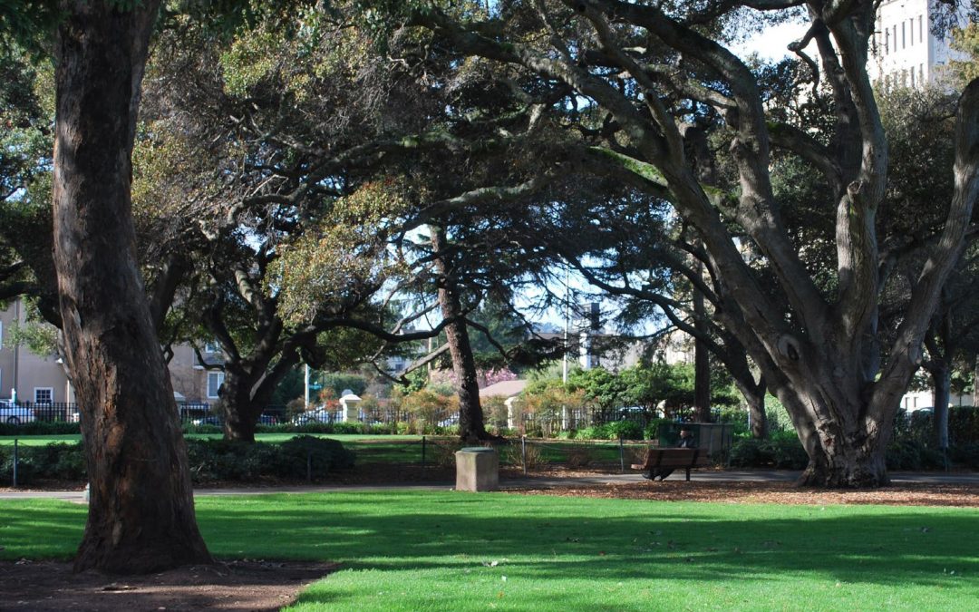 San Mateo Central Park Master Plan Update