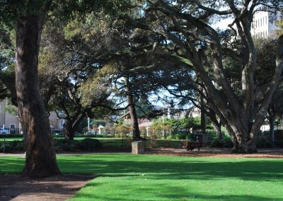 San Mateo Central Park Master Plan Update