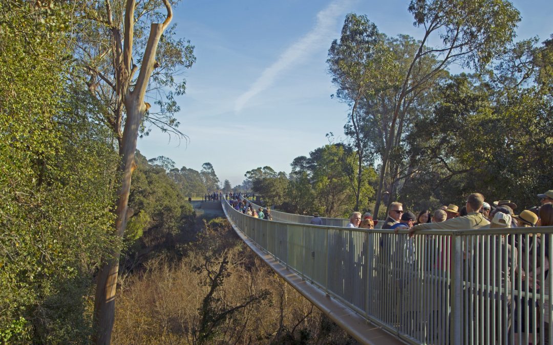Arana Gulch Master Plan