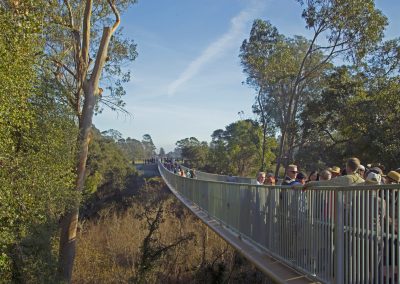 Arana Gulch Master Plan