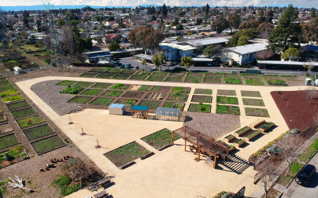 Hayward Community Gardens