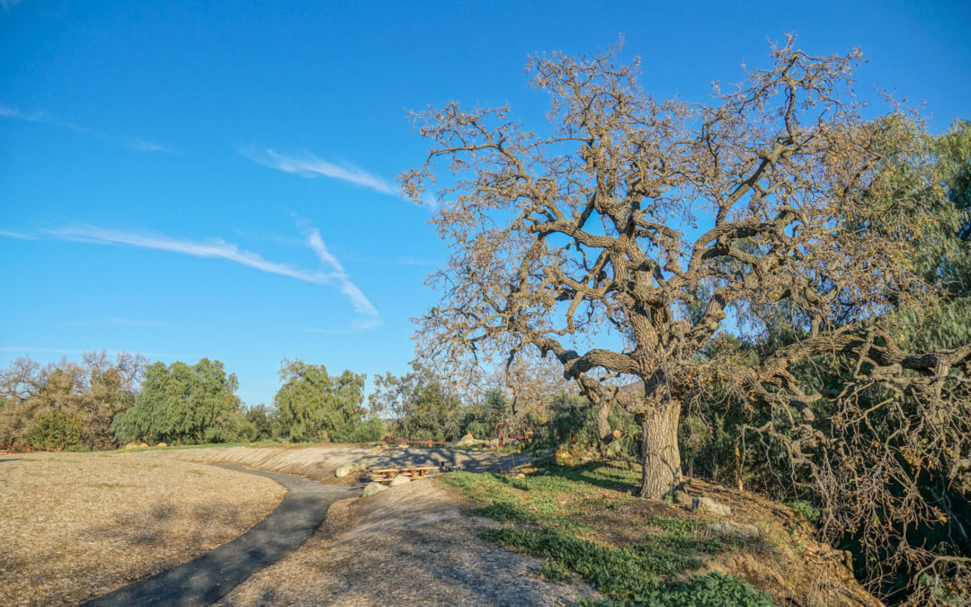Stormwater & Sustainability