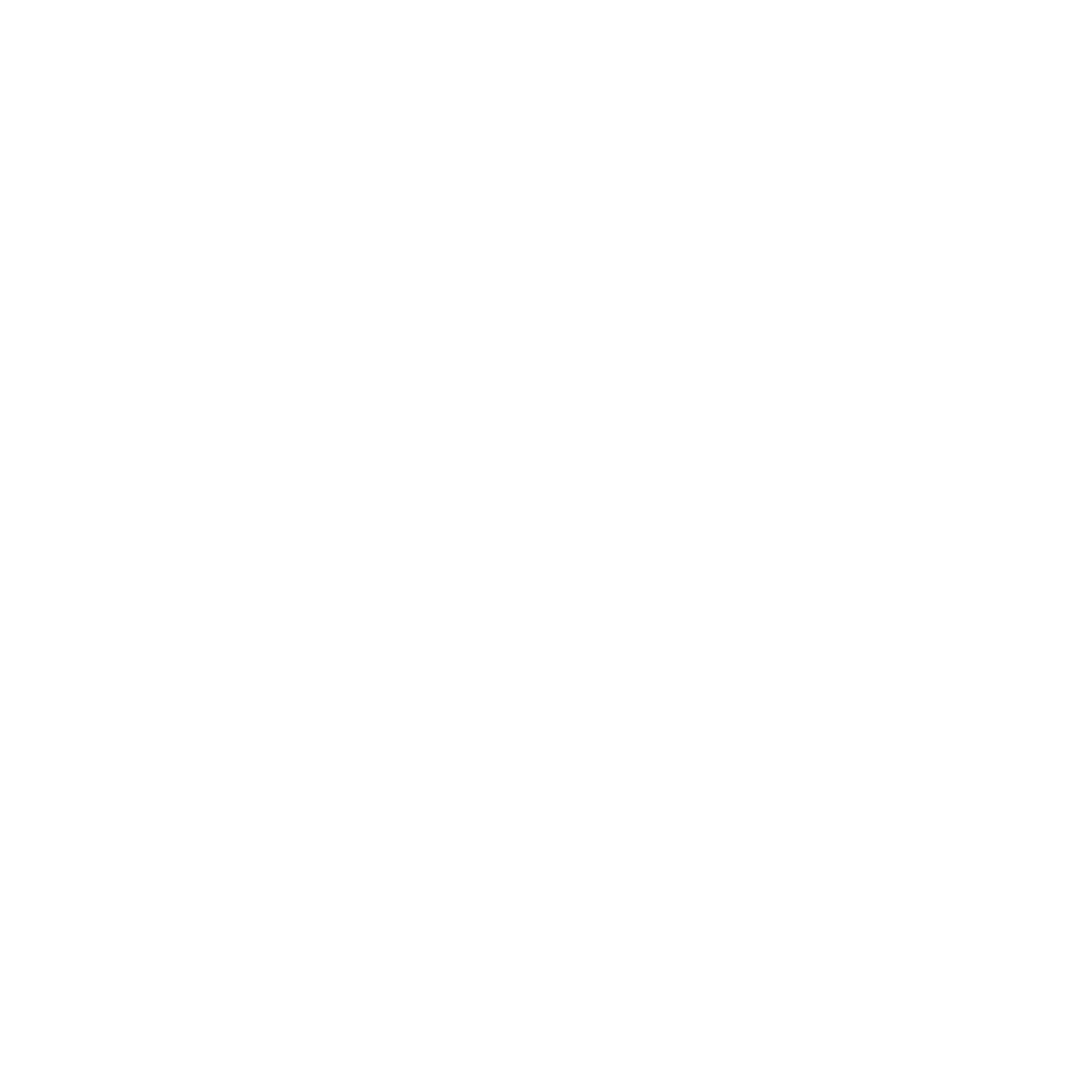 noun_digital camera_956227