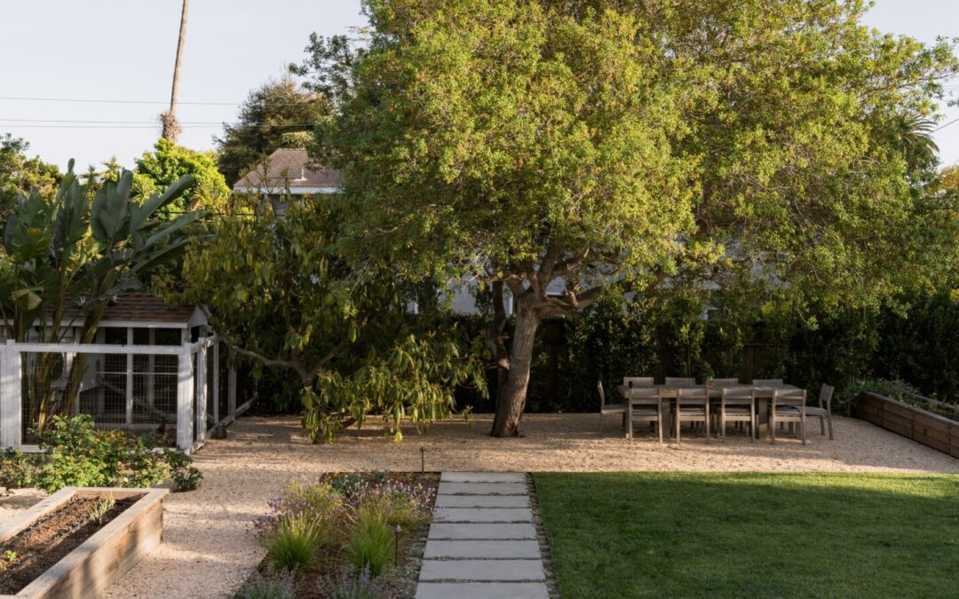 San Miguel Residential Landscape