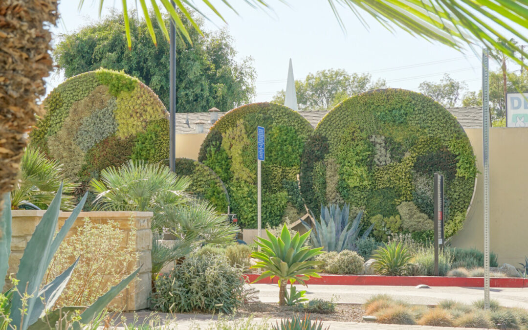 El Verano Senior Apartments Landscape Architecture